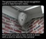 Govt Surveillance