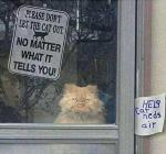 Don't Let The Cat Out