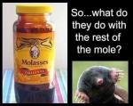 Molasses