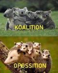 Koalition